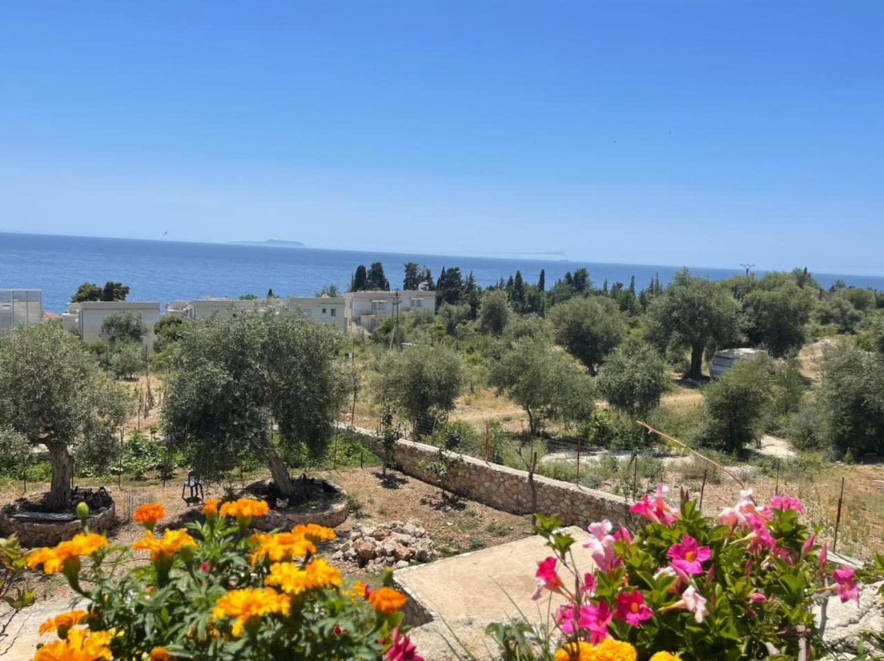 Exclusive Greccia Inn Dhërmi Esterno foto