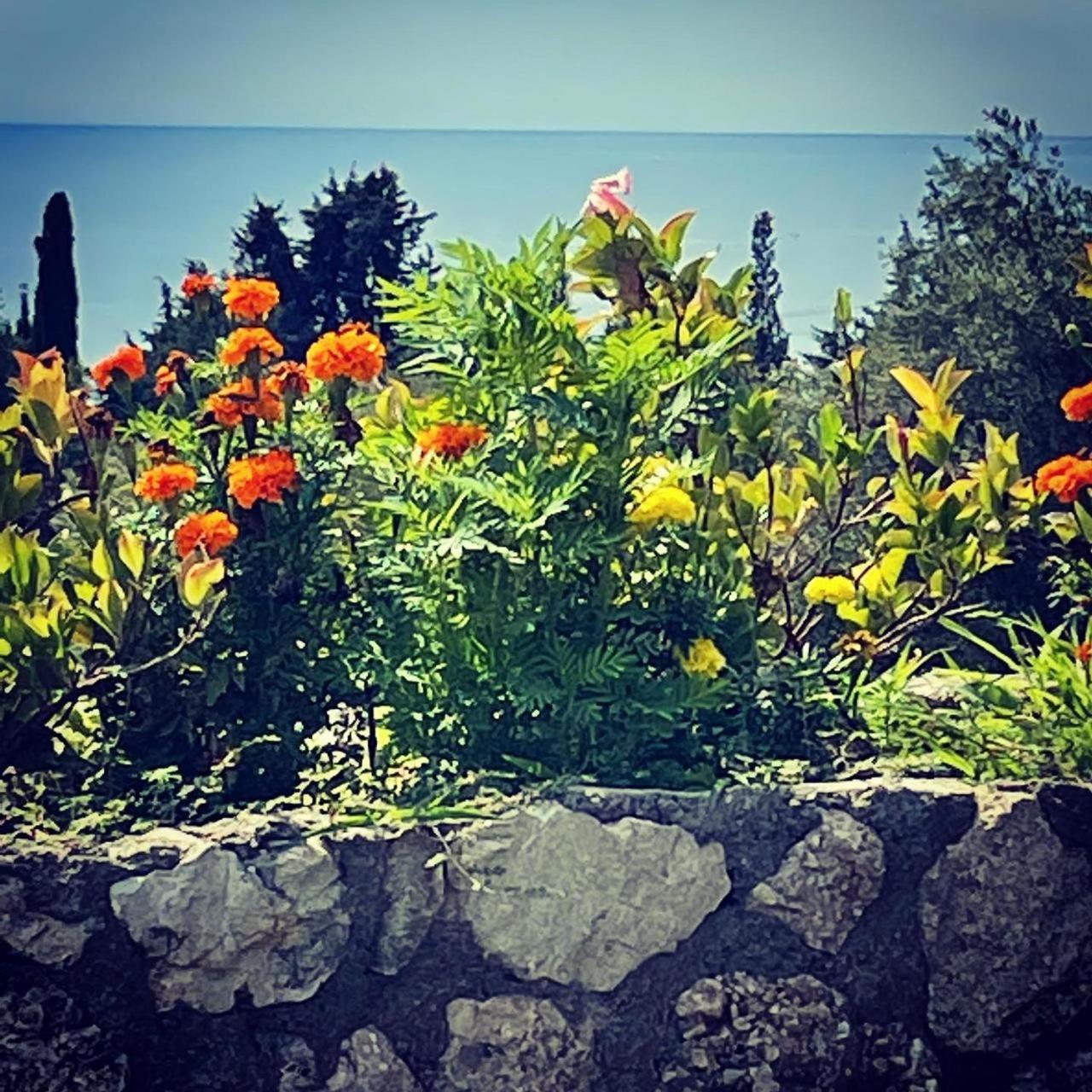 Exclusive Greccia Inn Dhërmi Esterno foto